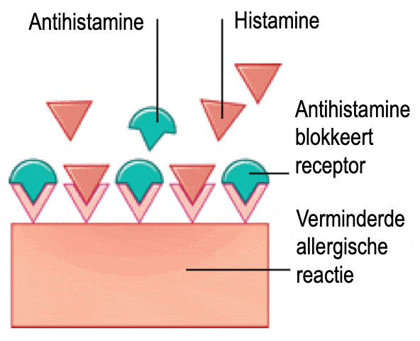 Rosacea creme van Reverta vermindert allergische reacties